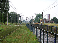 min 319 1.jpg min 319 1.jpg